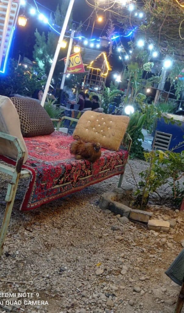 کافه رستوران امپراطور در کنارتخته شیراز