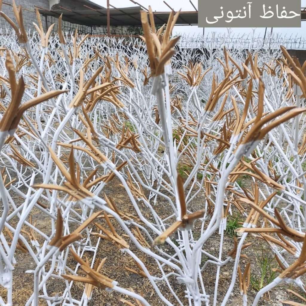 تولید و فروش و نصب حفاظ شاخ گوزنی آنتونی در نوشهر مازندران