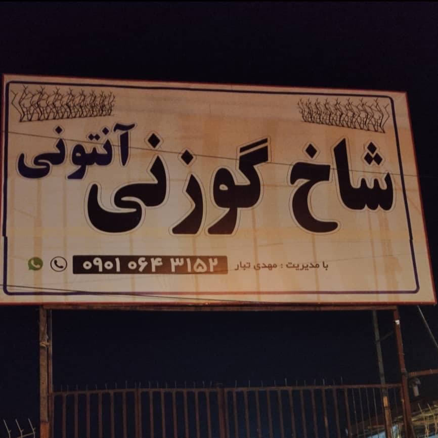 تولید و فروش و نصب حفاظ شاخ گوزنی آنتونی در نوشهر مازندران