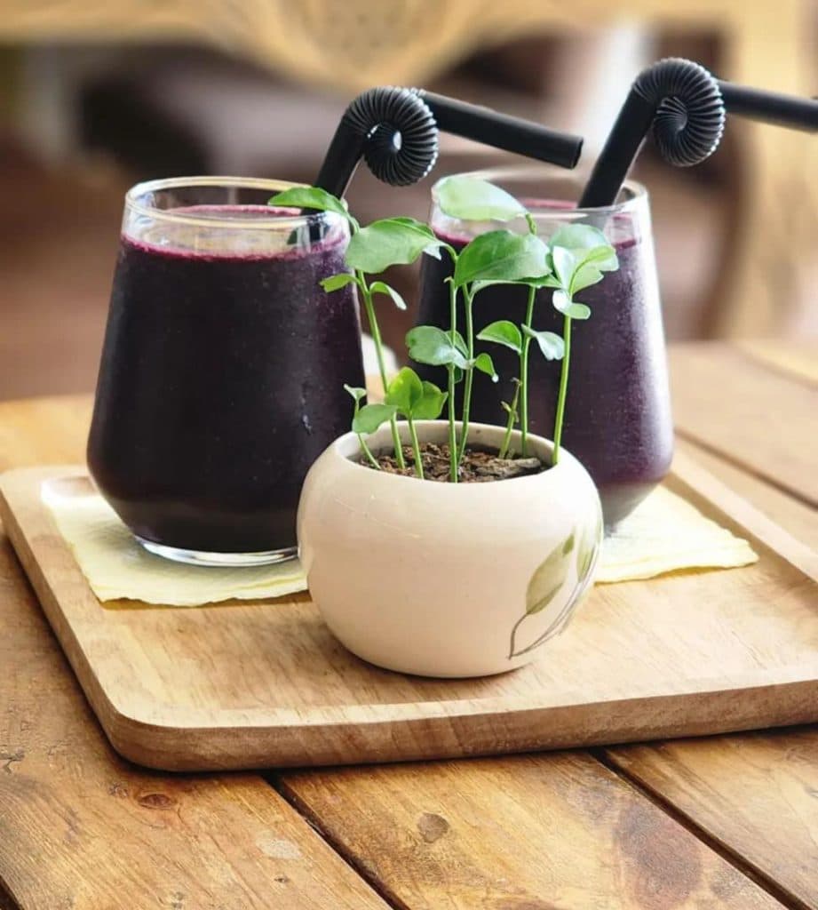 کافه فست فود گندم در سهند