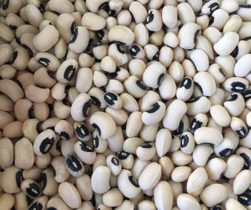 بازرگانی و خرید و فروش برنج و حبوبات کیشی زاده در تهران