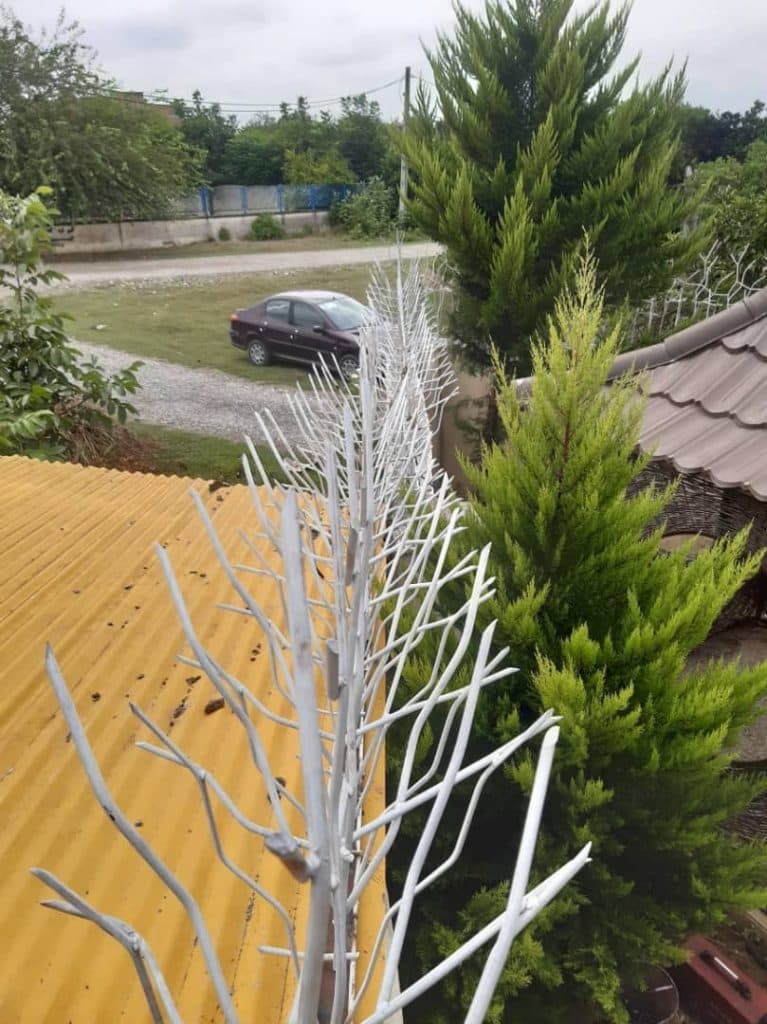 تولیدی حفاظ شاخ گوزنی پرشیا حفاظ در کلاردشت مازندران