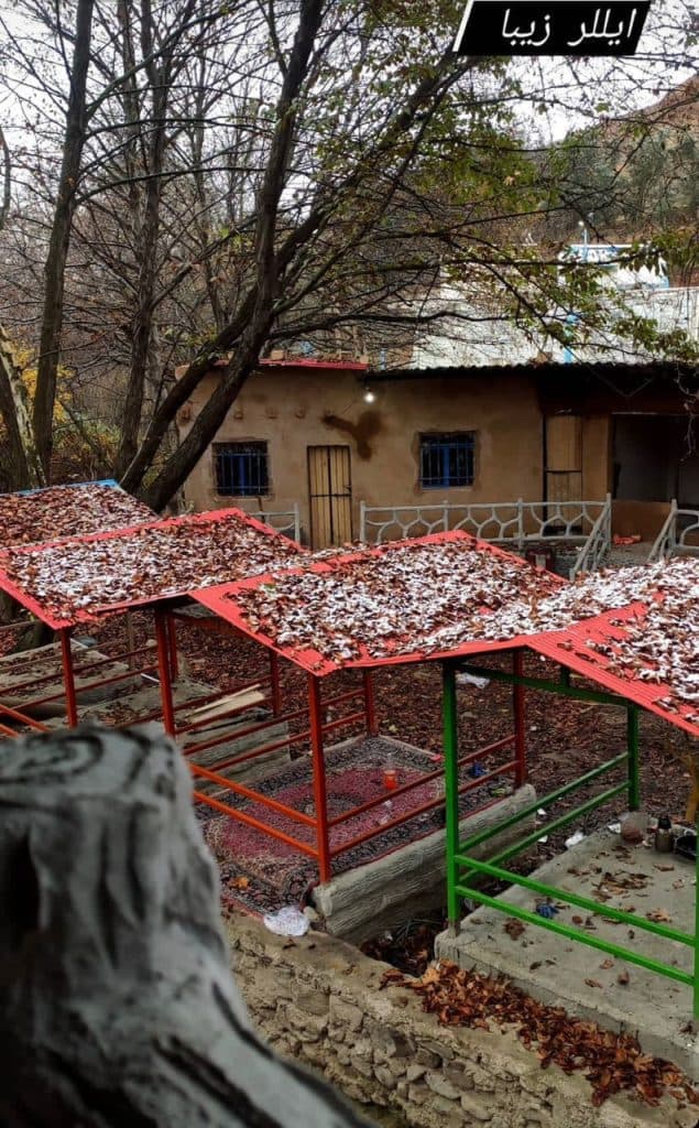 کافه رستوران جنگلی ائللر در زنجان