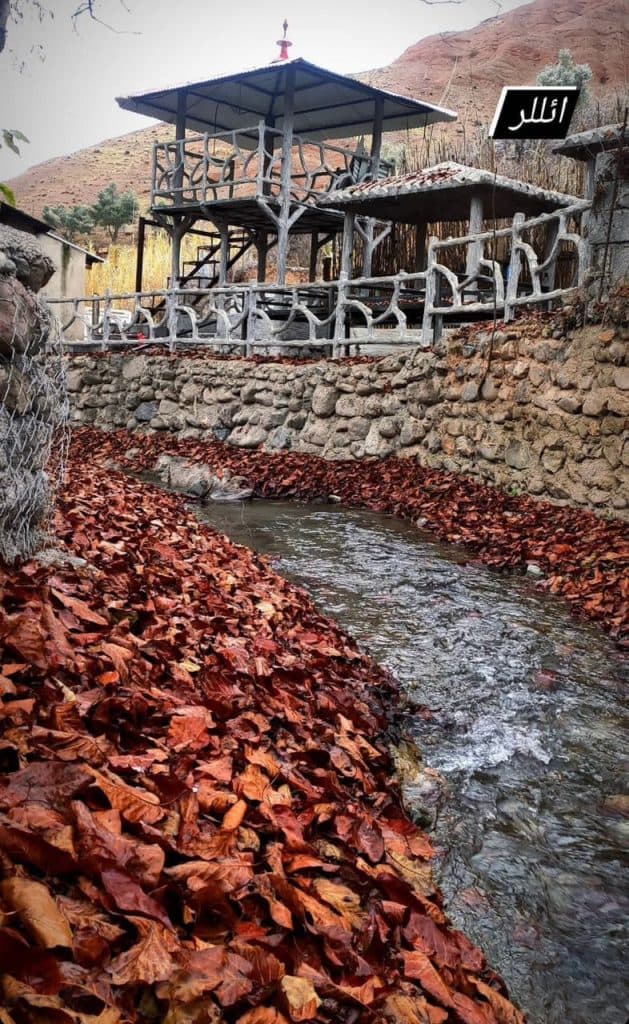 کافه رستوران جنگلی ائللر در زنجان