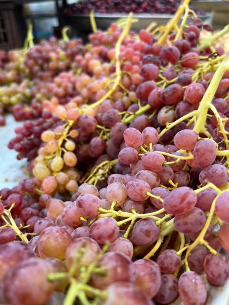 هایپر میوه باغ بهشت در رشت