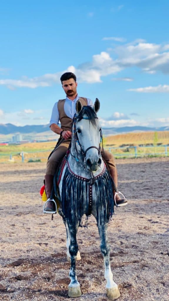 تولید و فروش زین و لوازم سوارکاری تقی زاده زنجان