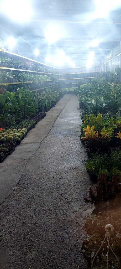 باغ رستوران آسمان در بوشهر