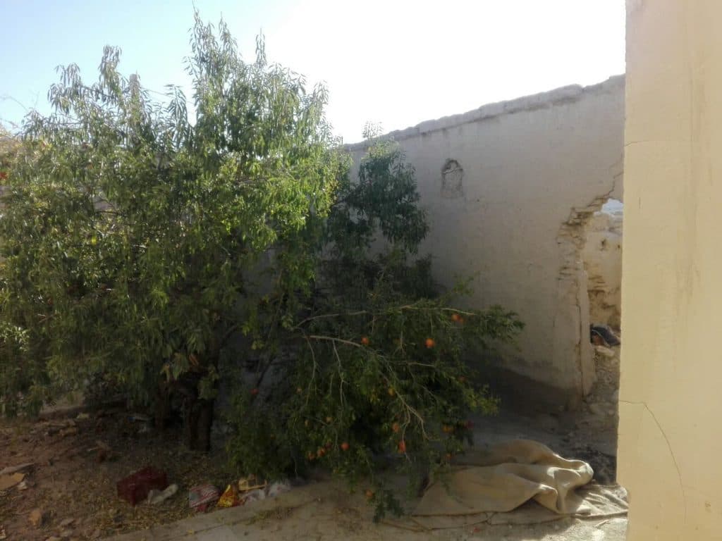 اقامتگاه بوم گردی حسن دهقان نژاد در صفی آباد یزد