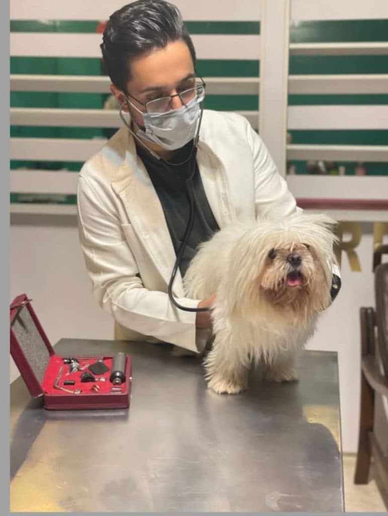 پانسیون حیوانات خانگی و پت شاپ و دامپزشکی خزر ساری مازندران