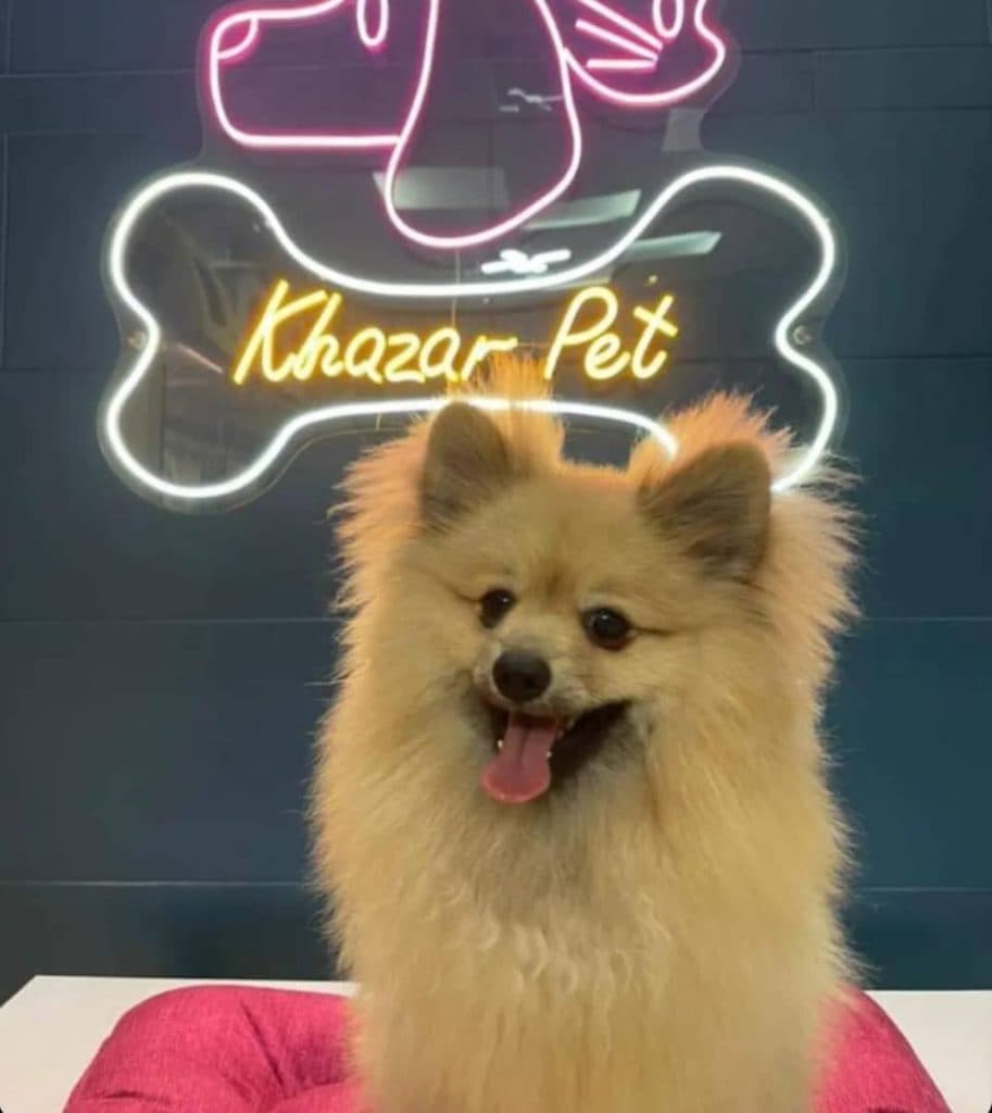 پانسیون حیوانات خانگی و پت شاپ و دامپزشکی خزر ساری مازندران