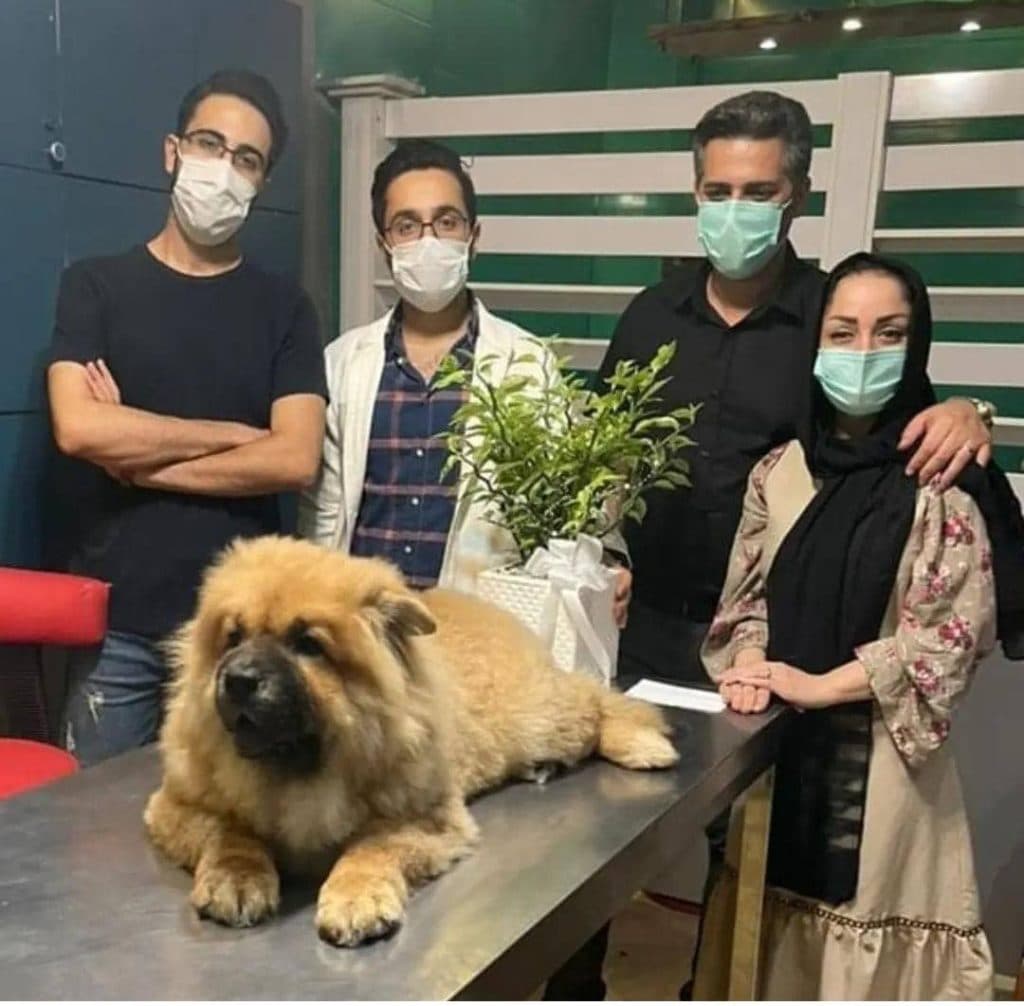 پانسیون حیوانات خانگی و پت شاپ و دامپزشکی خزر ساری مازندران