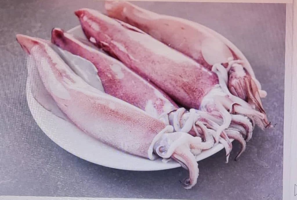 پخش و فروش ماهی و میگو روز به روز در قشم