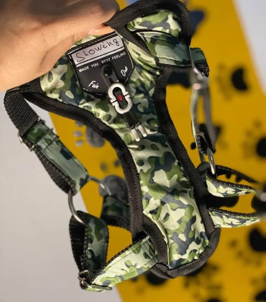 کلینیک شبانه روزی حیوانات خانگی پتس هوم در تبریز