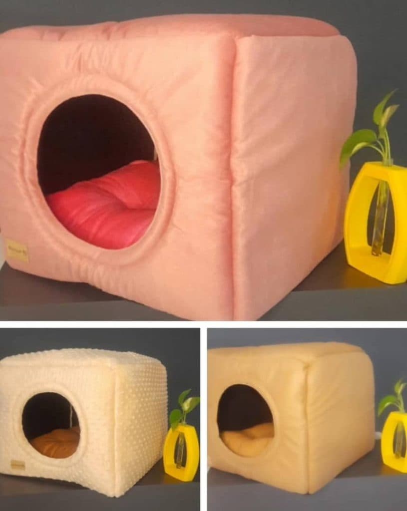 کلینیک شبانه روزی حیوانات خانگی پتس هوم در تبریز