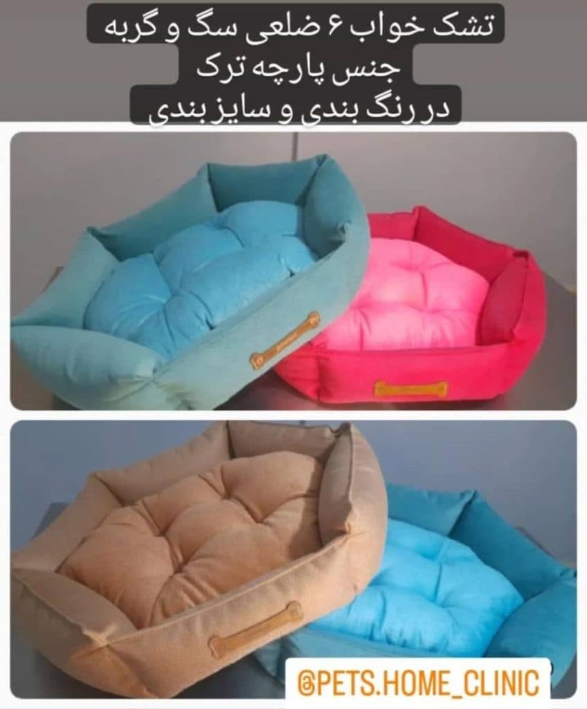 کلینیک شبانه روزی حیوانات خانگی پتس هوم در تبریز