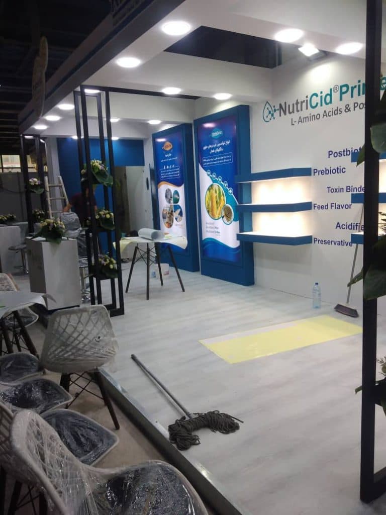 اجرا نقاشی ساختمان و کناف صیادگلاهی در بومهن تهران