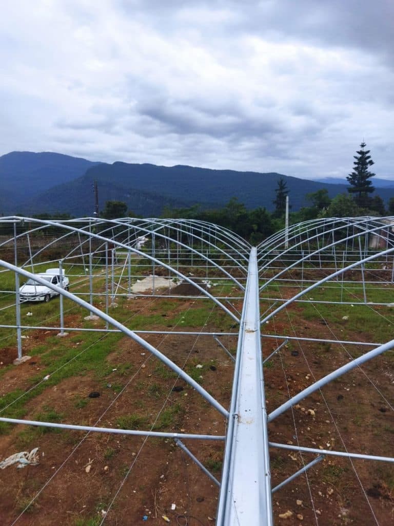 طراحی و ساخت گلخانه های صنعتی رز قرمز در کرمانشاه