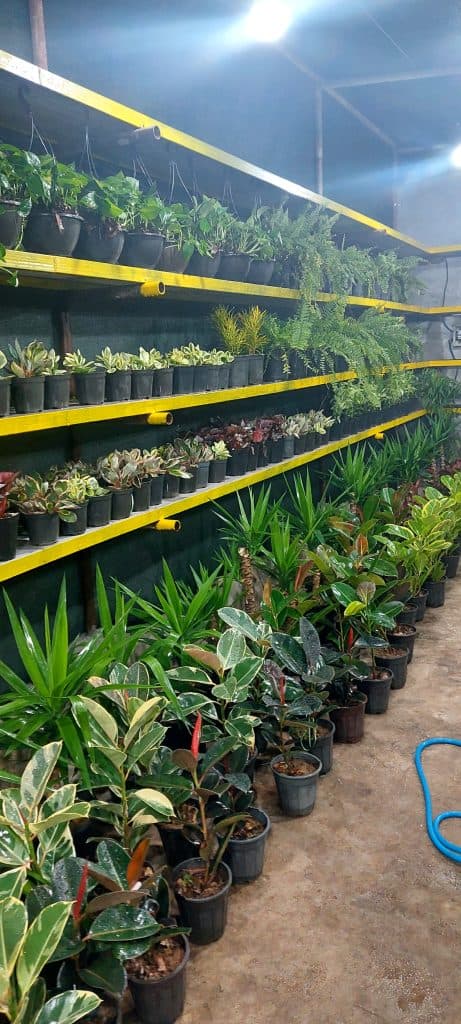 باغ رستوران آسمان در بوشهر