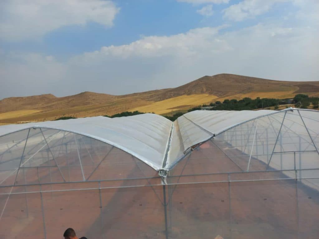 طراحی و ساخت گلخانه های صنعتی رز قرمز در کرمانشاه