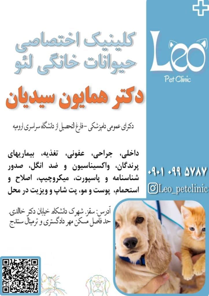 کلینیک دامپزشکی و حیوانات خانگی لئو در سقز کردستان
