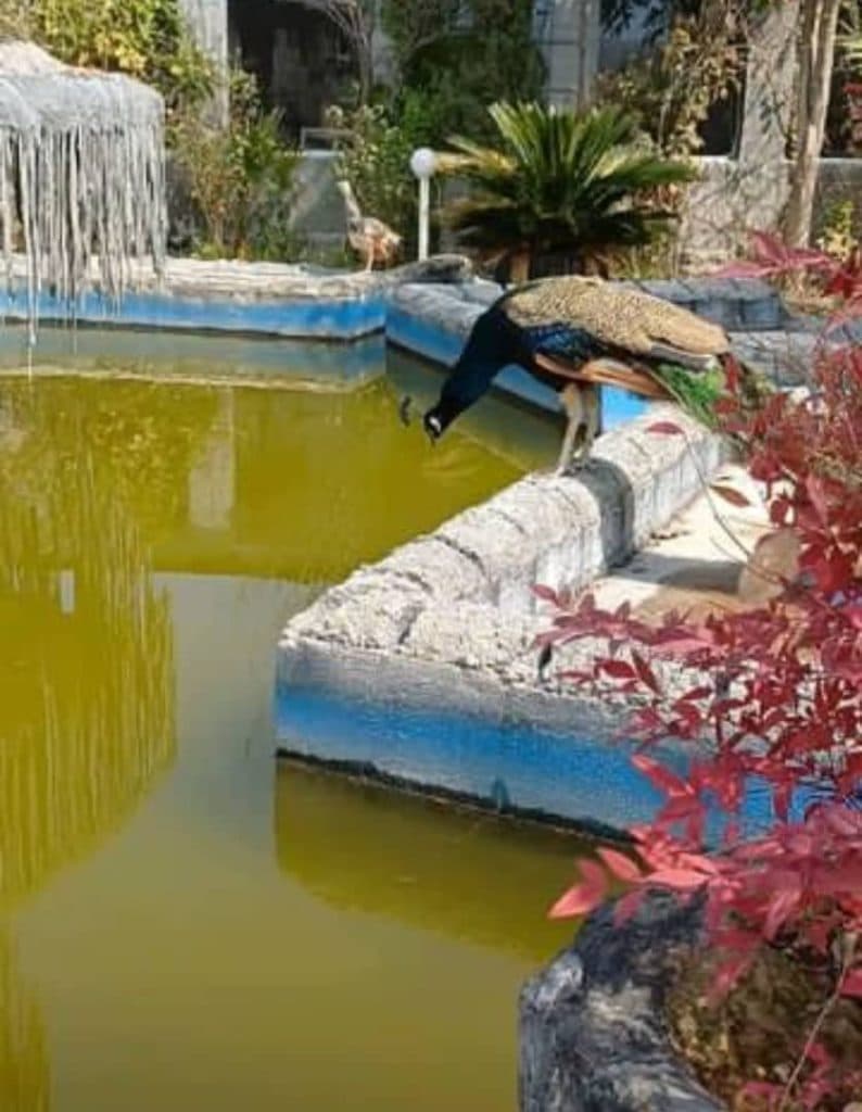 سفره خانه سنتی ستاره فارس در نورآباد فارس