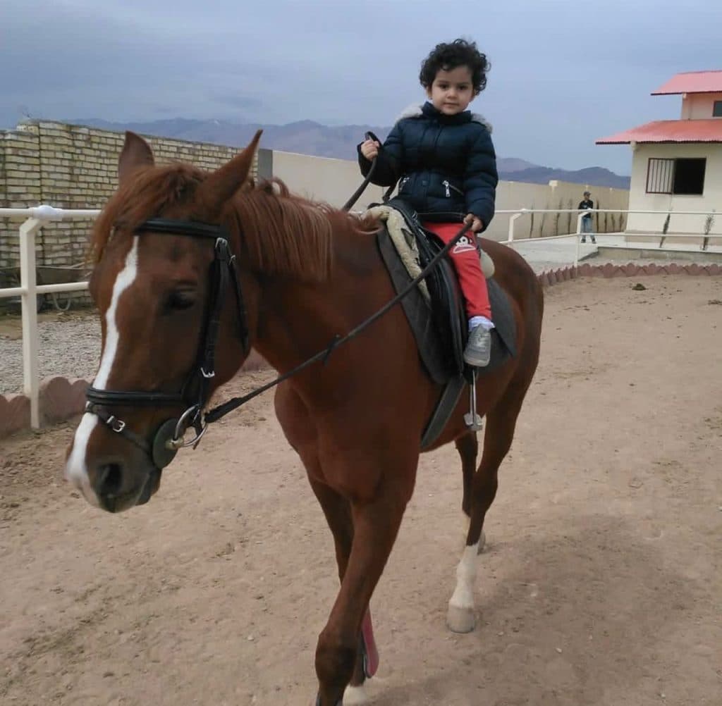 باشگاه سوارکاری و پانسیون و لوازم سوارکاری کاوه در دامغان سمنان