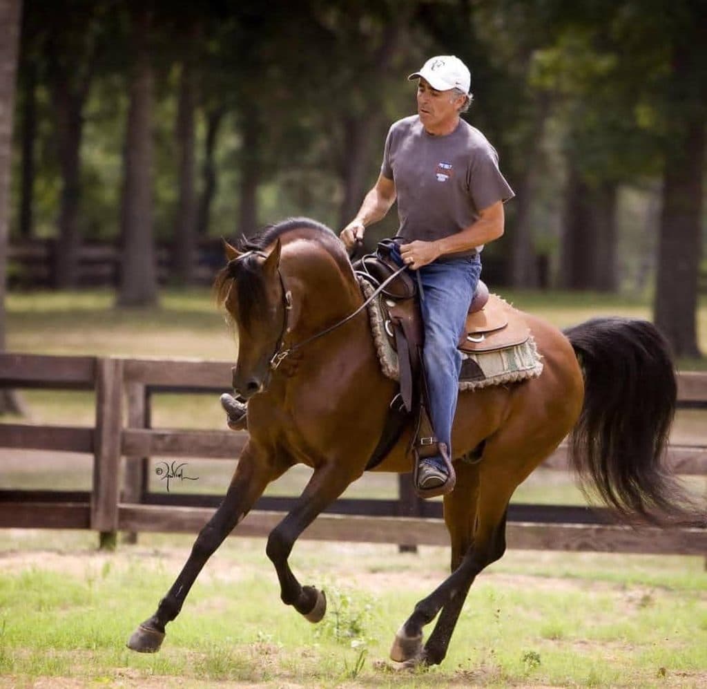 باشگاه سوارکاری شهریار در مهاجران اراک
