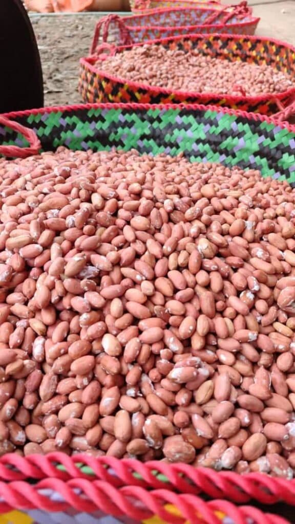 تولید و پخش بادام زمینی و کره بادام زمینی و خشکبار عرشیا در آستانه اشرفیه