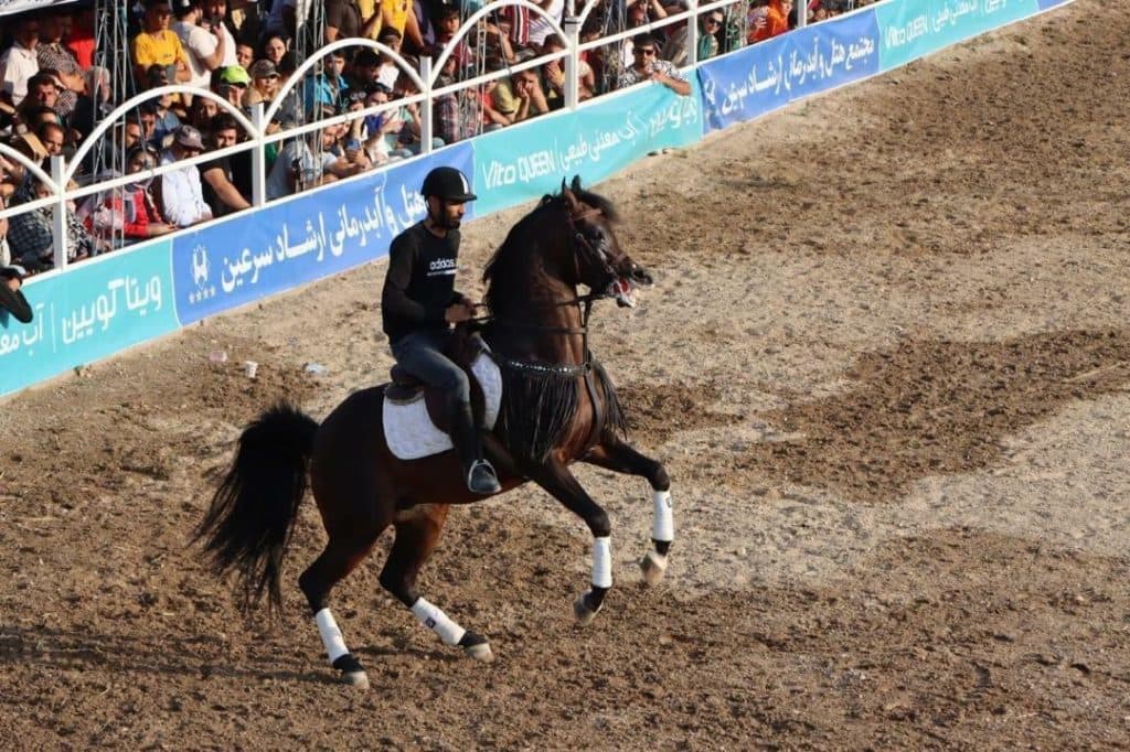 باشگاه سوارکاری ساوالان در سرعین
