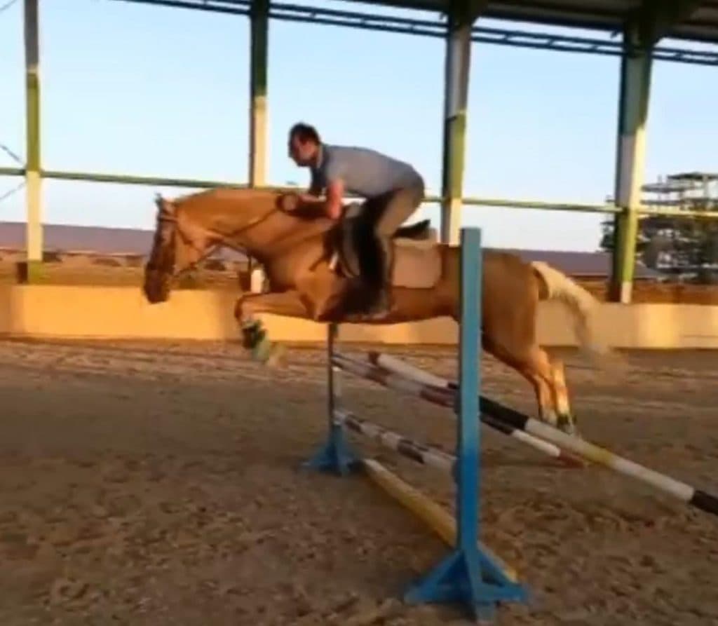 مسعود نصرتی ترینر اسب سوار و آموزش دهنده و مربی سوارکاری در تهران