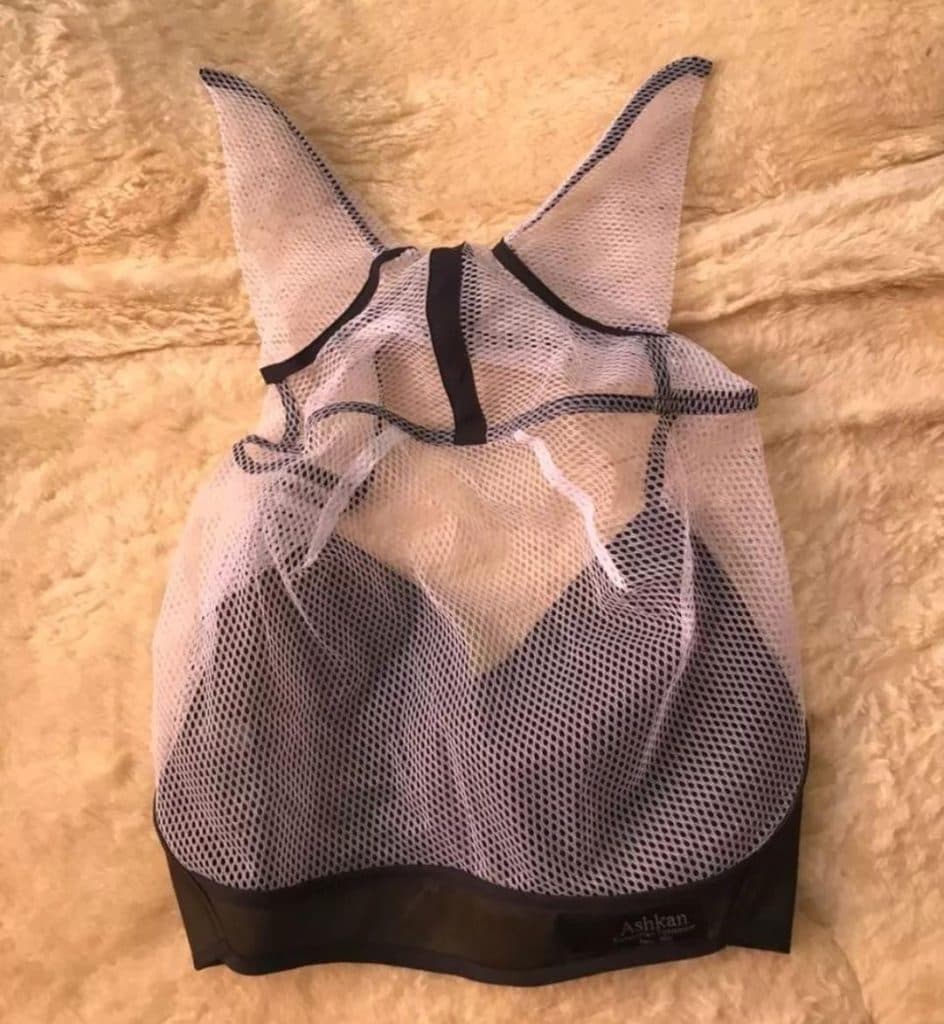 فروشگاه لوازم سوارکاری عیسی شعاعی در زنجان