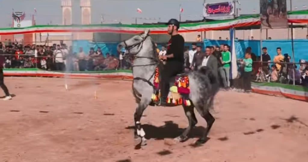 باشگاه پرورش اسب و سوارکاری آموزش و خرید و فروش حاجی شاطر در میبد یزد