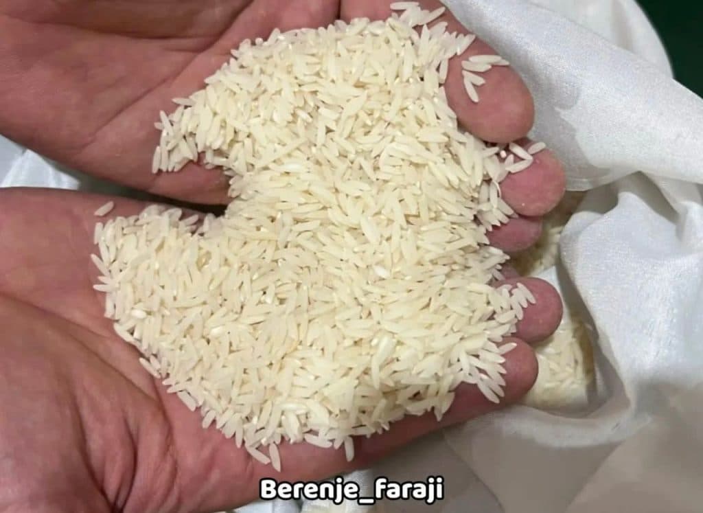 کارخانه تولید برنج هاشمی و دم سیاه و فجر و لاشه مهران فرجی در ماسال گیلان