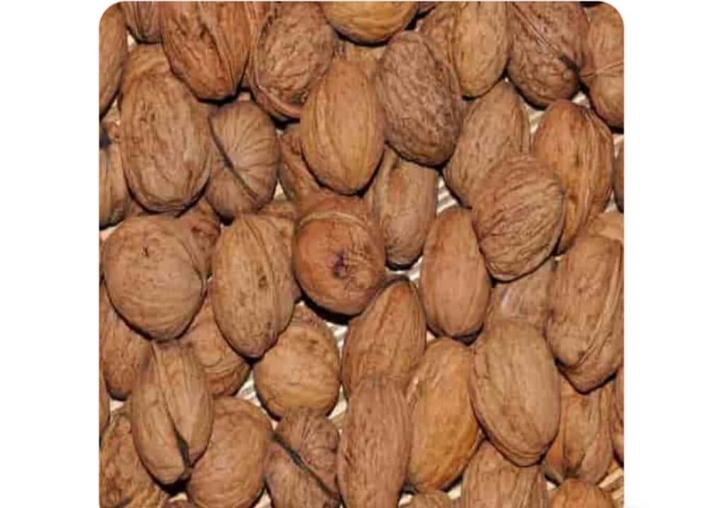 تولید فروش صادرات گردو ماکویی کاغذی سوزنی خوشه ای الوان مارکت در تویسرکان