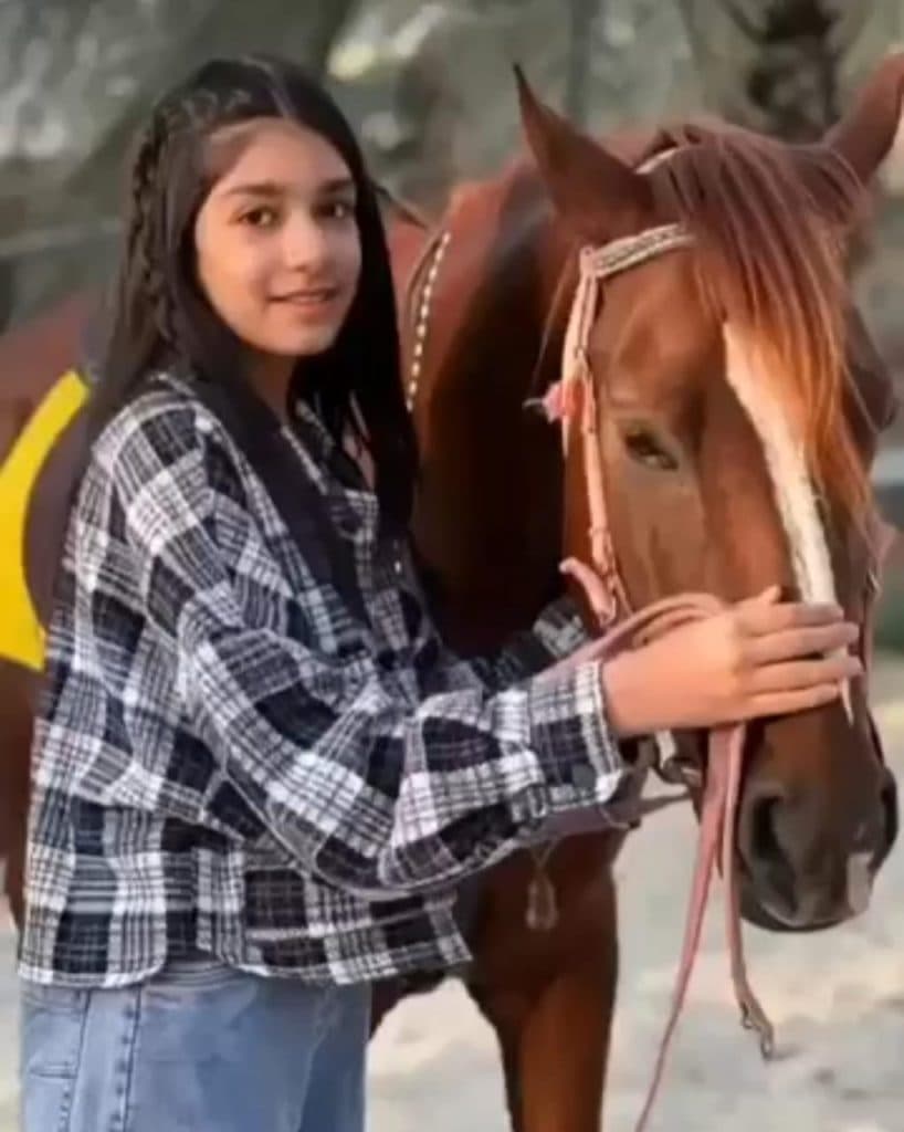 باشگاه سوارکاری و آموزش و پانسیون و خرید و فروش اسب چیتا در بستک