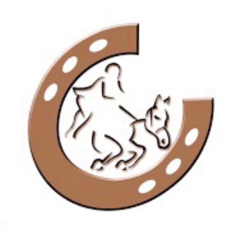 باشگاه سوارکاری آموزش خرید و فروش اسب صف شکن در چیتگر تهران