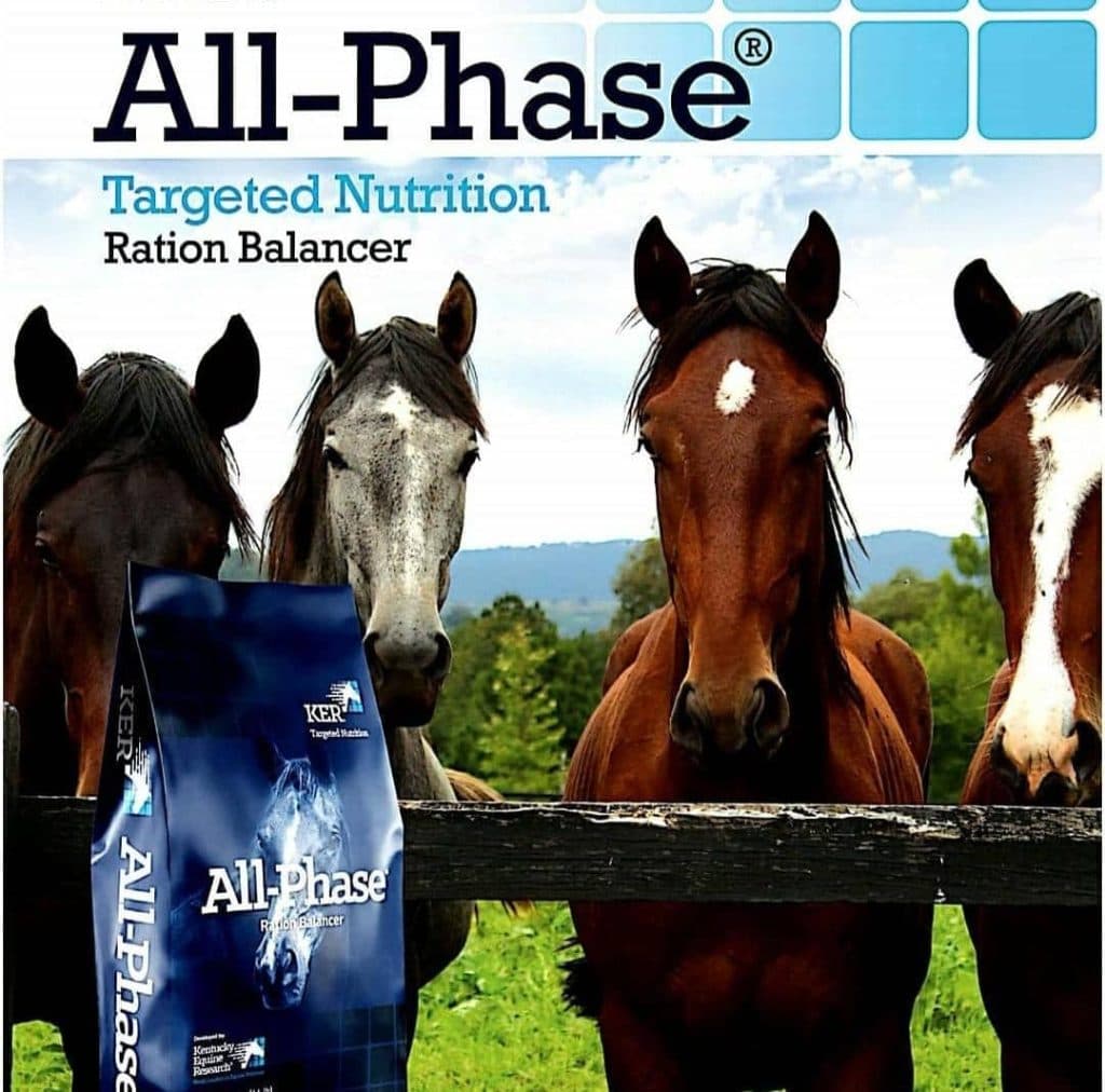 دامپزشکی و فروشگاه لوازم سوارکاری و پت شاپ سرزمین حیوانات در کرمان