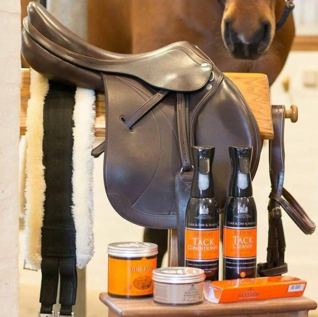 دامپزشکی و فروشگاه لوازم سوارکاری و پت شاپ سرزمین حیوانات در کرمان