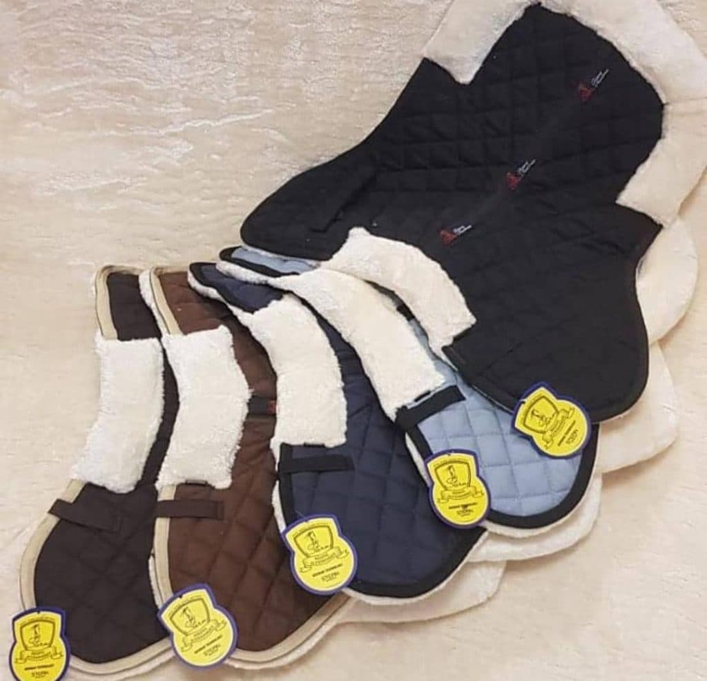 دامپزشکی و فروشگاه لوازم سوارکاری و پت شاپ سرزمین حیوانات در کرمان