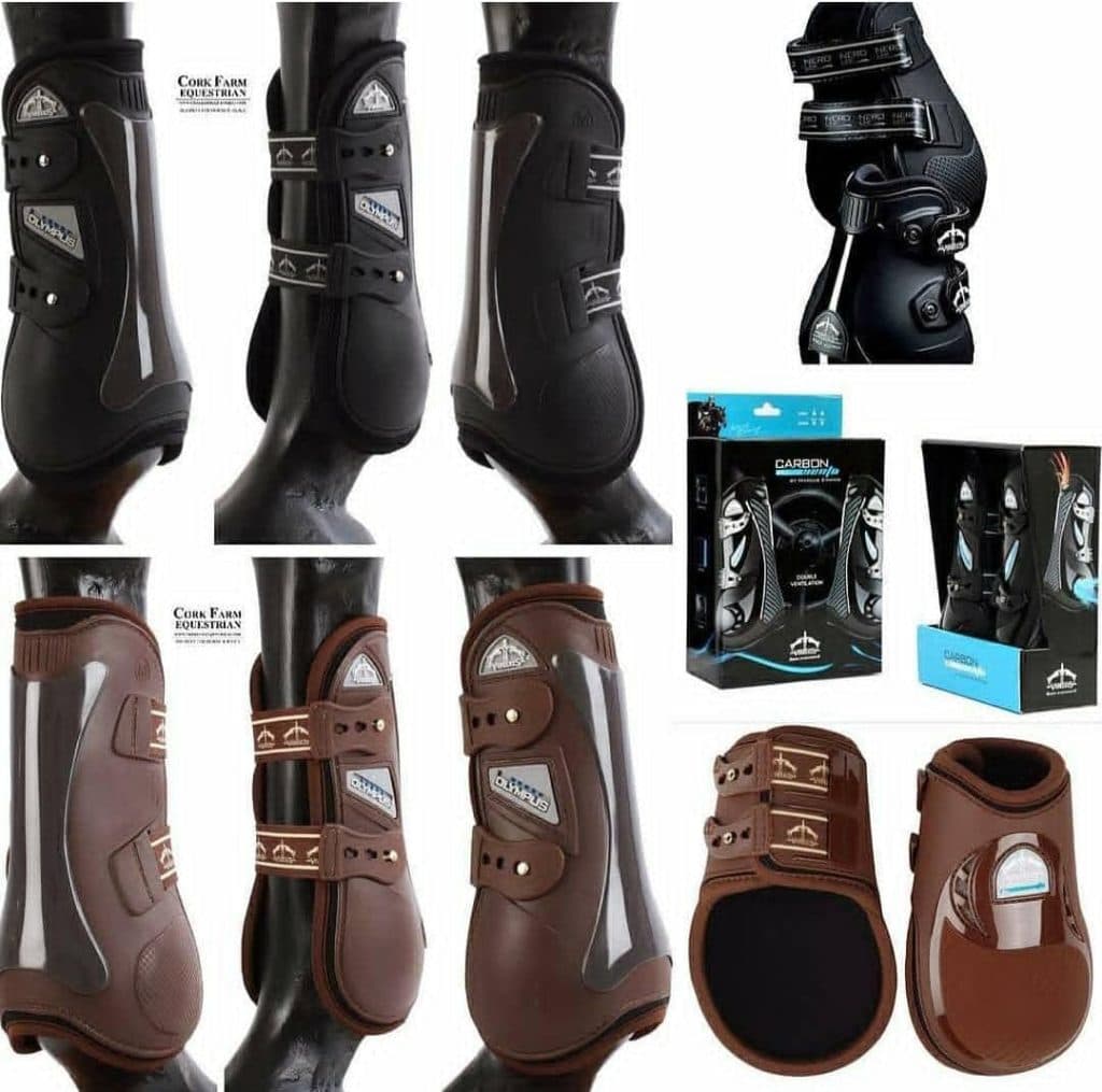 دامپزشکی و فروشگاه لوازم سوارکاری و پت شاپ سرزمین حیوانات در کرمان