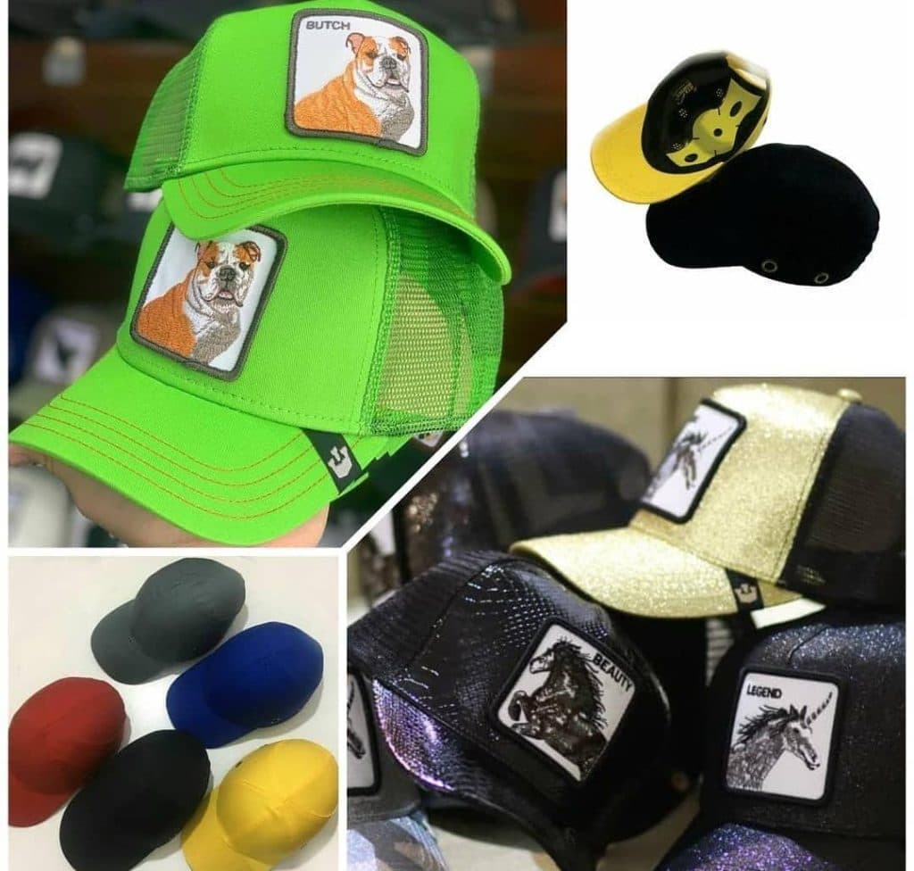 دامپزشکی و فروشگاه لوازم سوارکاری و پت شاپ سرزمین حیوانات در کرمان