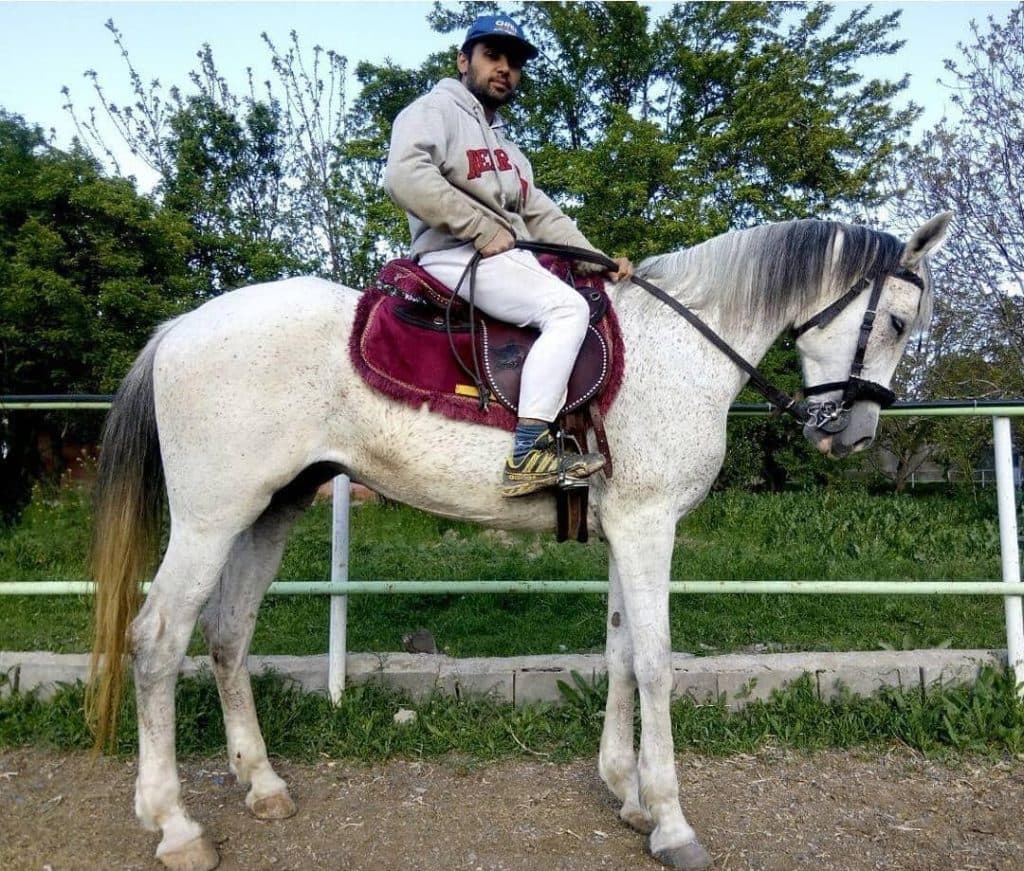 تولید و پرورش و خرید و فروش اسب آموزش سوارکاری اقدم در مراغه