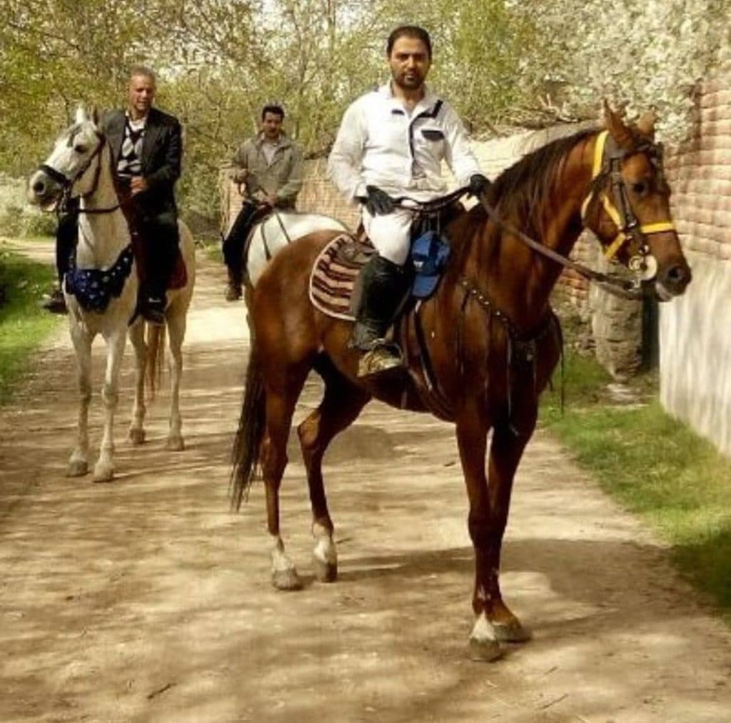 تولید و پرورش و خرید و فروش اسب آموزش سوارکاری اقدم در مراغه