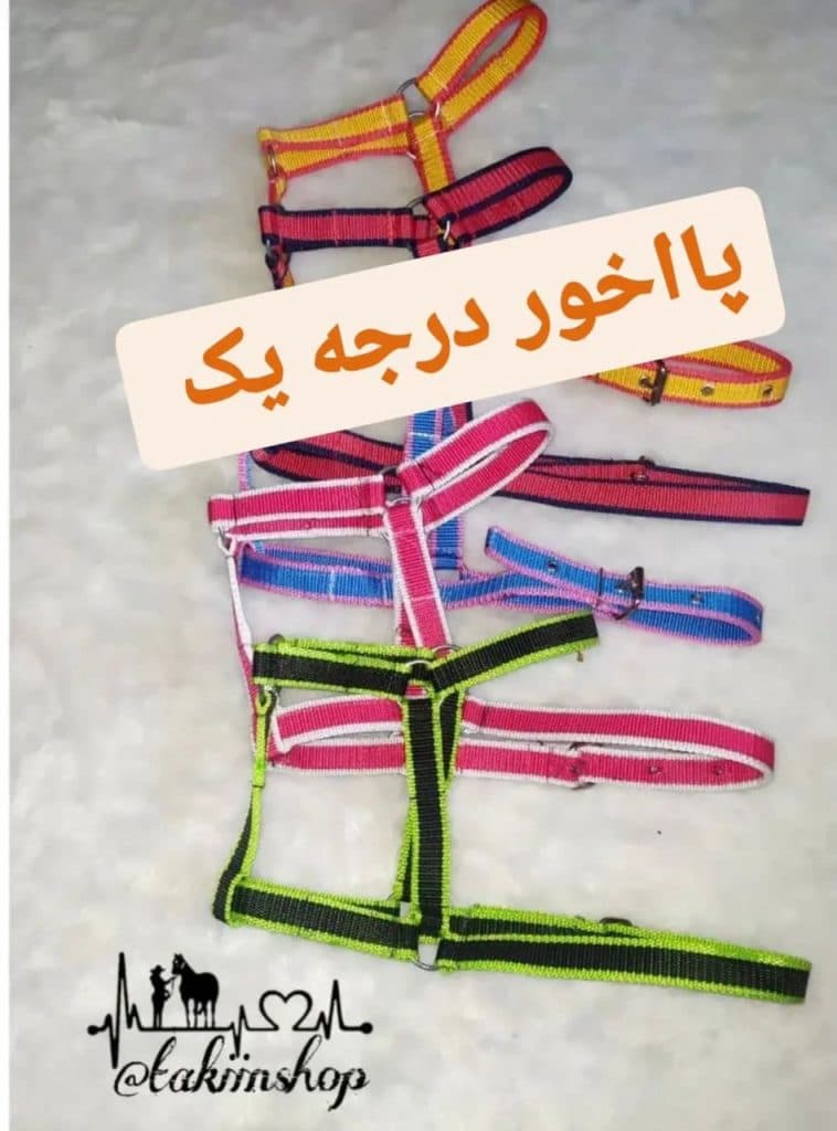 تولید و فروش لوازم سوارکاری تکین در میانه آذربایجان شرقی