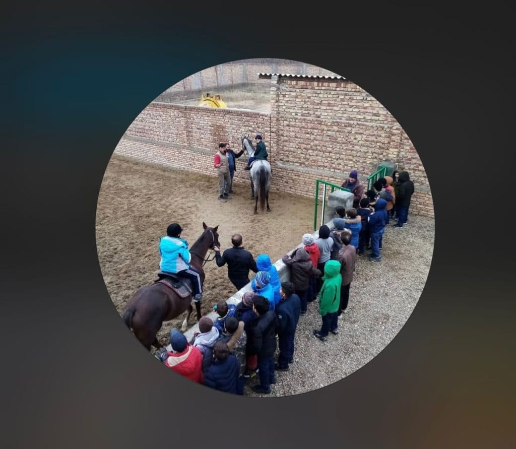 باشگاه سوارکاری و آموزش و خرید و فروش و پانسیون آرمان در ارومیه