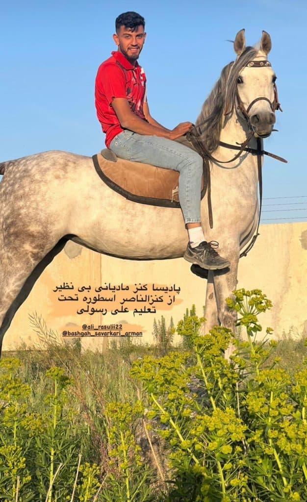 باشگاه سوارکاری و آموزش و خرید و فروش و پانسیون آرمان در ارومیه