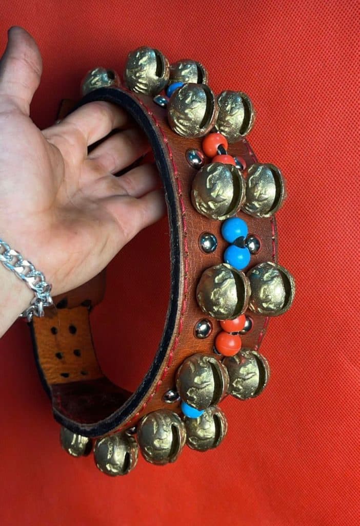 طراحی و تولید قلاده چرمی تایگان در کلاله گلستان