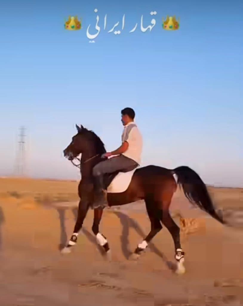 باشگاه سوارکاری و پانسیون هورس کلاب کاشان اصفهان