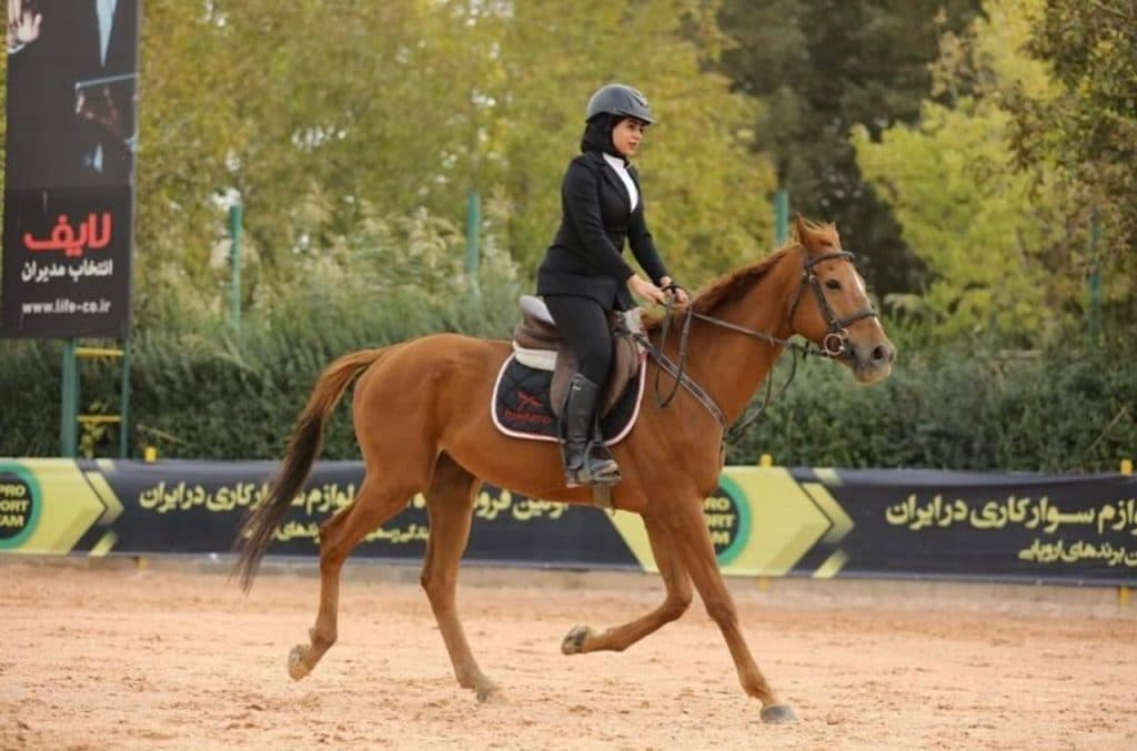 باشگاه سوارکاری و پانسیون و ترید خرید و فروش هاماز در مهرشهر کرج