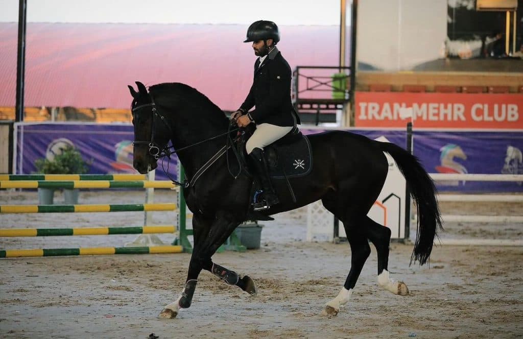 باشگاه سوارکاری و پانسیون و ترید خرید و فروش هاماز در مهرشهر کرج